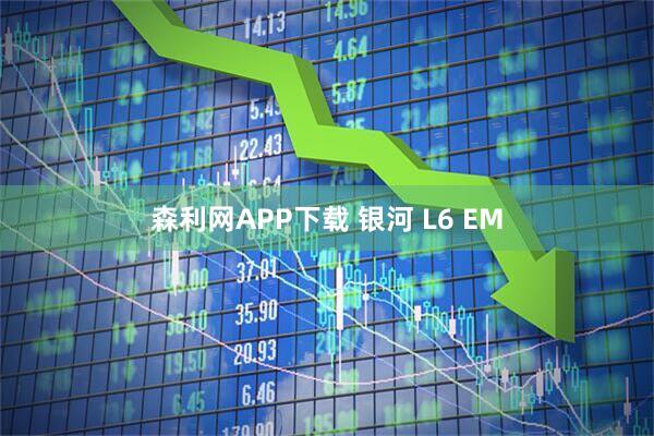 森利网APP下载 银河 L6 EM