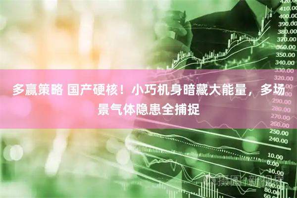 多赢策略 国产硬核！小巧机身暗藏大能量，多场景气体隐患全捕捉