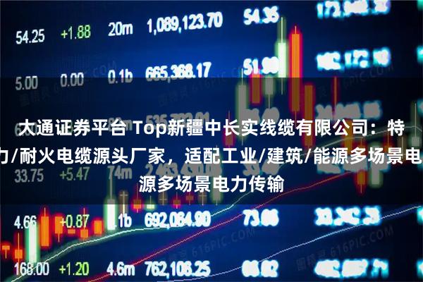 大通证券平台 Top新疆中长实线缆有限公司：特种/电力/耐火电缆源头厂家，适配工业/建筑/能源多场景电力传输