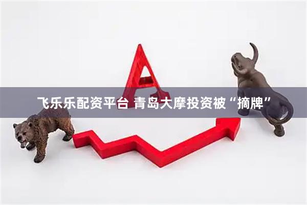 飞乐乐配资平台 青岛大摩投资被“摘牌”