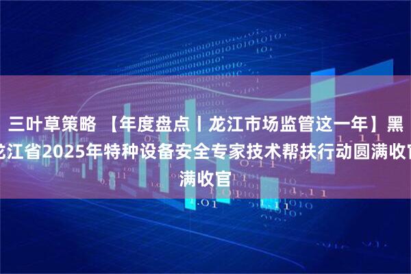 三叶草策略 【年度盘点丨龙江市场监管这一年】黑龙江省2025年特种设备安全专家技术帮扶行动圆满收官